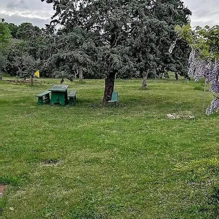 Vicino Vicino Hébergement de vacances Bomarzo